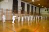 img_0379_small.jpg