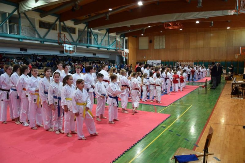 oplotnica005.jpg