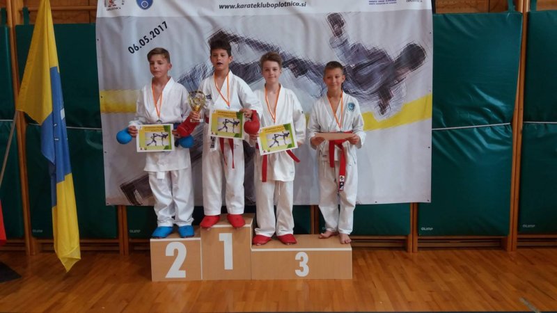oplotnica010.jpg