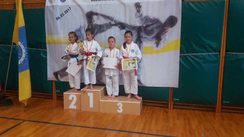 oplotnica012.jpg