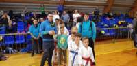 iiipokal1_small.jpg