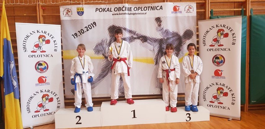oplotnica10.jpg