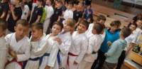oplotnica13_small.jpg