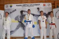 oplotnica19_small.jpg