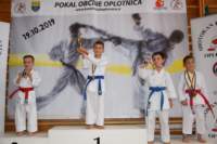 oplotnica21_small.jpg