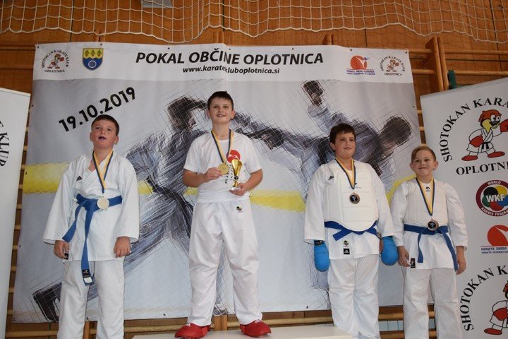 oplotnica9.jpg